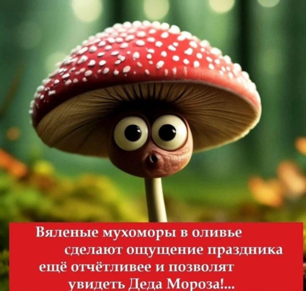 веселые грибы