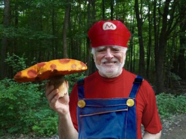 гарольд гриб