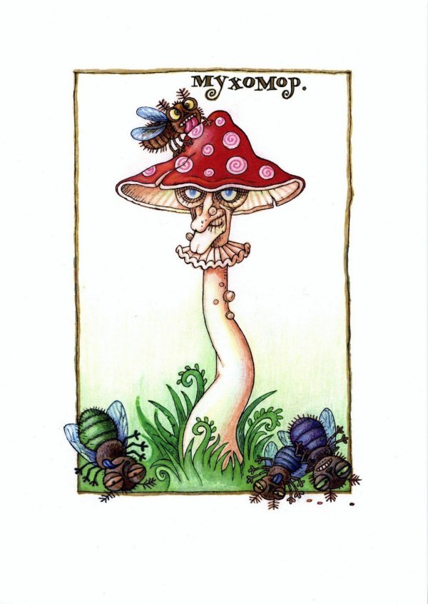 поганка мухоморовна