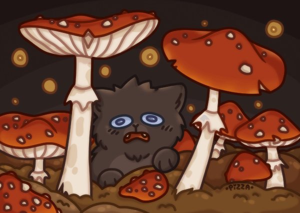 милые грибочки