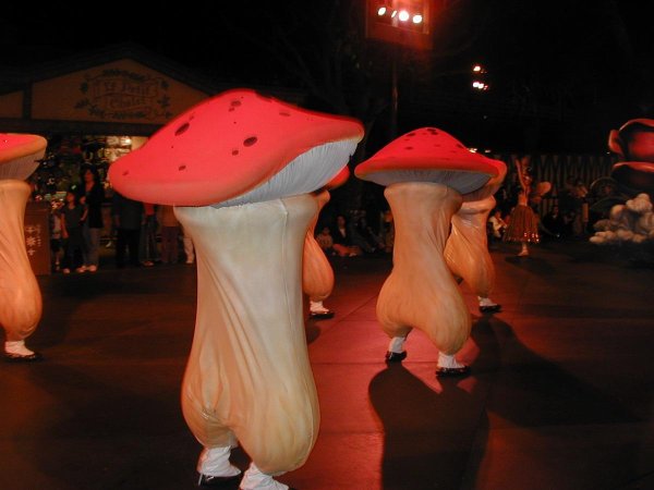 гигантские грибы