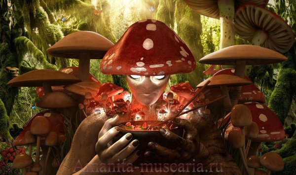 сказочные грибы