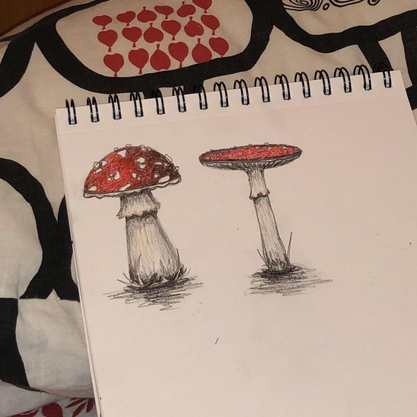 рисунки для срисовки грибы