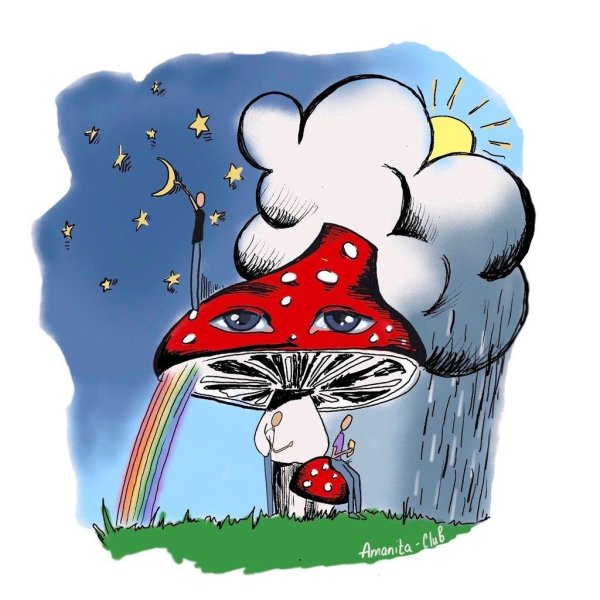 микродозинг мухоморов