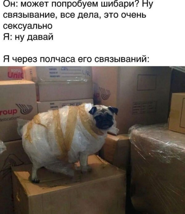 смешные комментарии