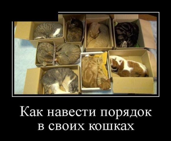 шутки про порядок