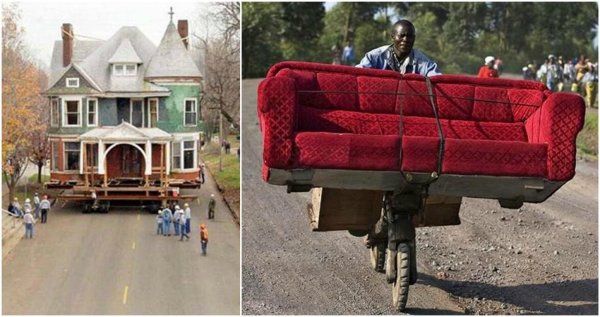 смешной диван