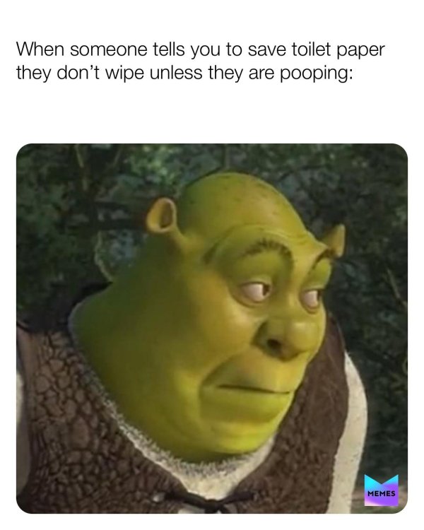 лицо шрека мем