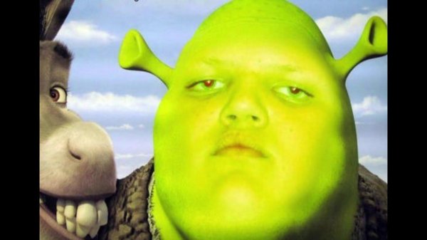 лицо шрека