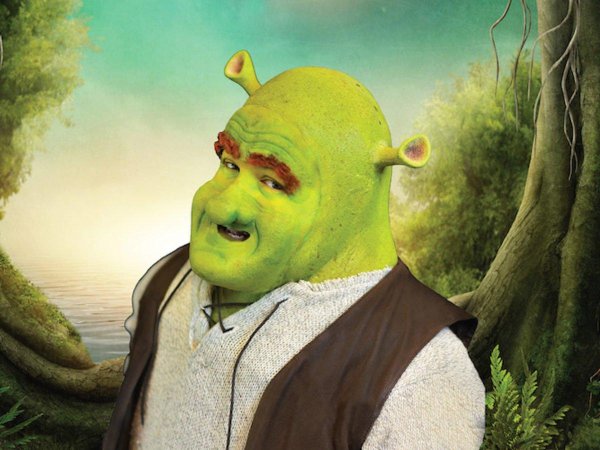лицо шрека