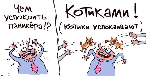 день паники