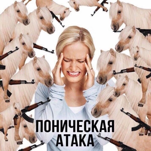 лошади красивые