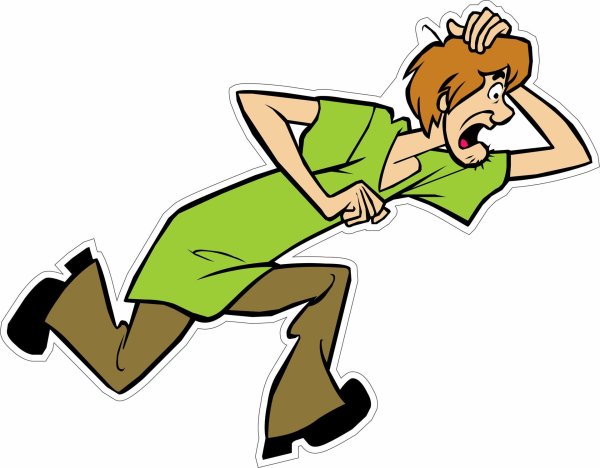 шегги роджерс