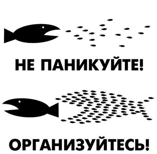 little fish big fish