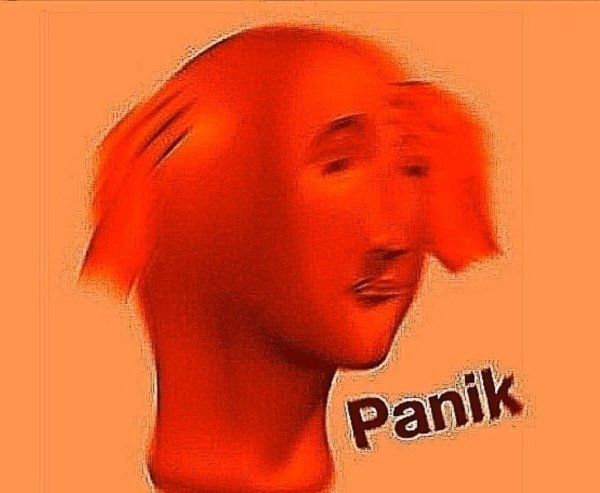 panic meme