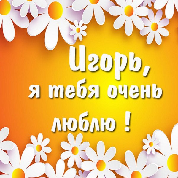 я тебя люблю