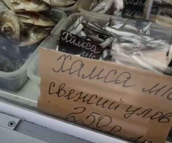 рыбный рынок