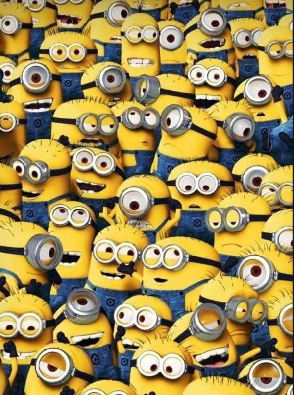 много миньонов