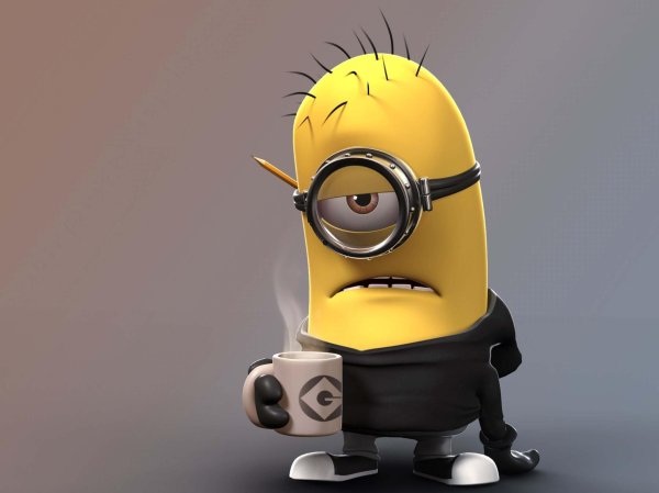 персонажи миньонов