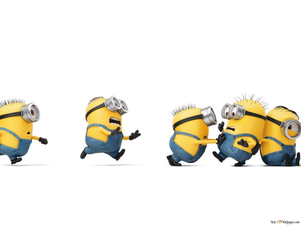 миньоны в жизни