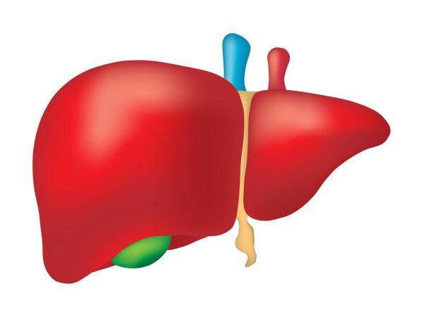 acute hepatitis b