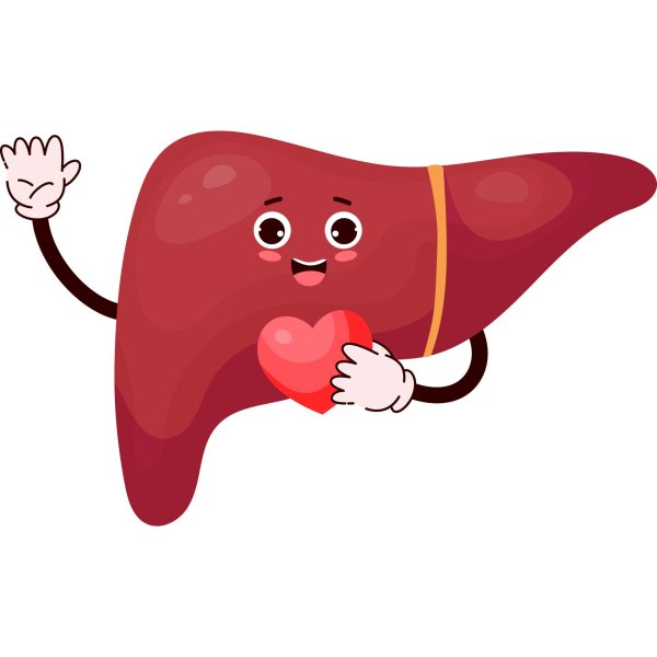 счастливая печень