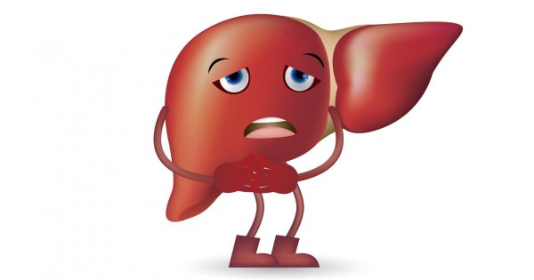 жировой гепатоз