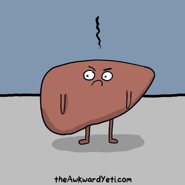 печень плачет