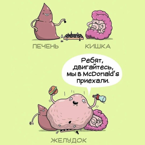 веселый желудок