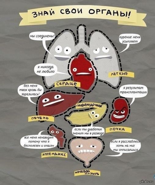 мультяшные органы