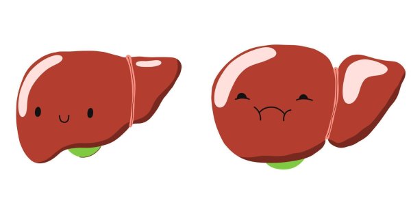 печень персонаж