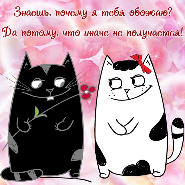Я тебя люблю