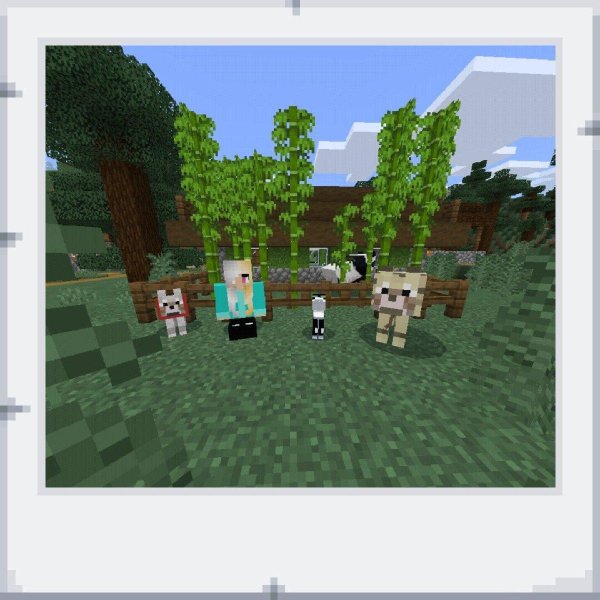 тростник в майнкрафте