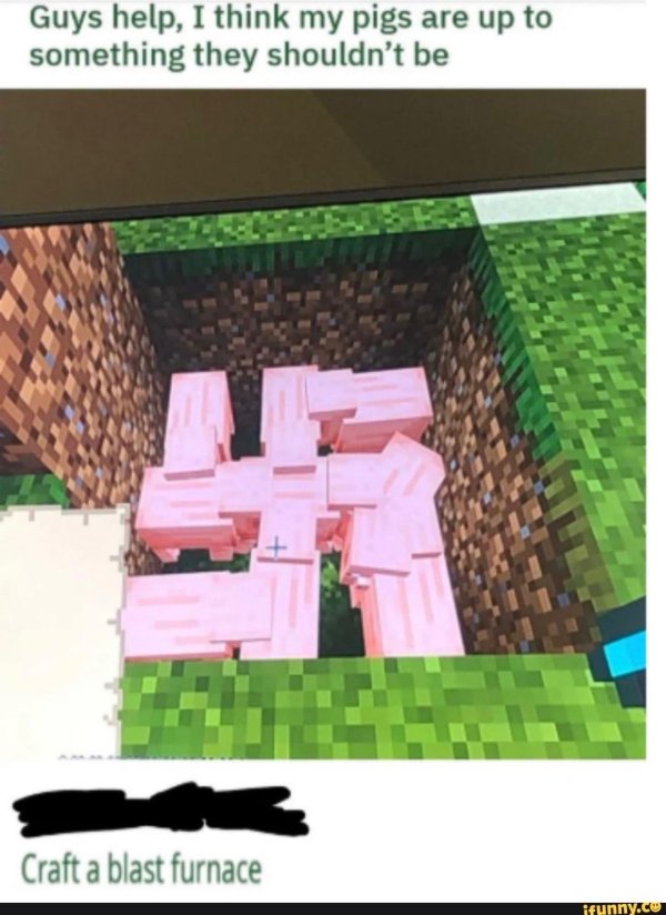 майнкрафт свинья
