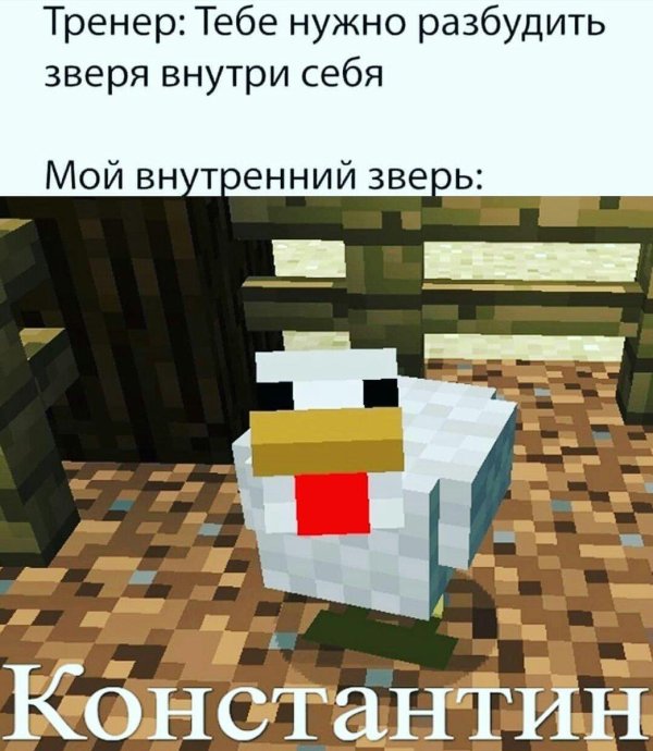 курочка из майнкрафта