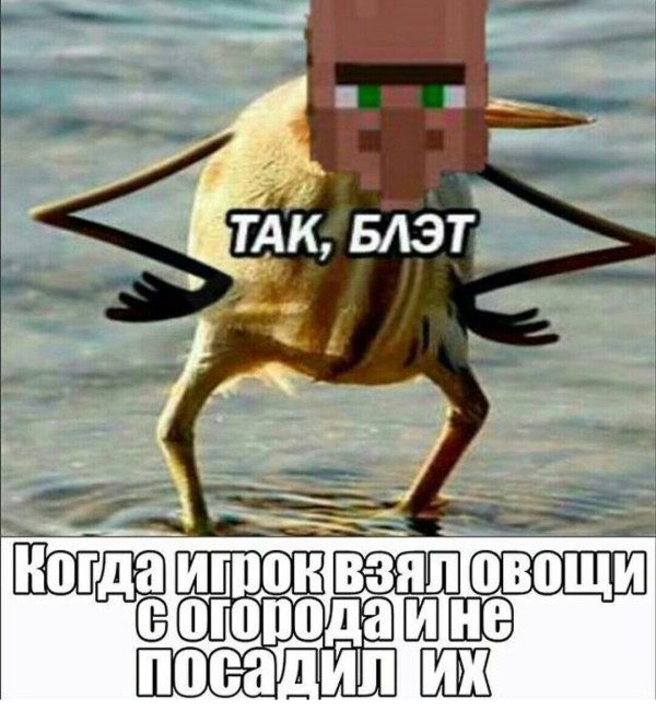 птичка тэк блэт