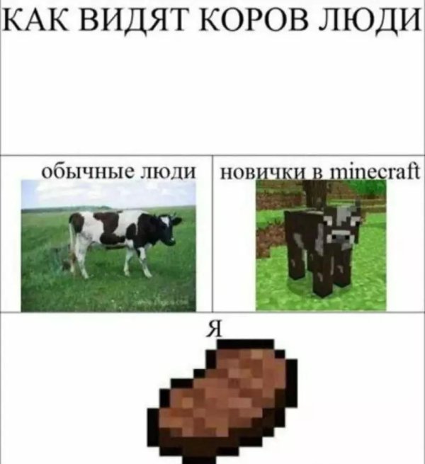 прикольные картинки майнкрафт