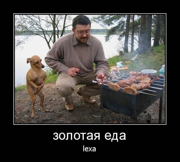 шашлыки мем