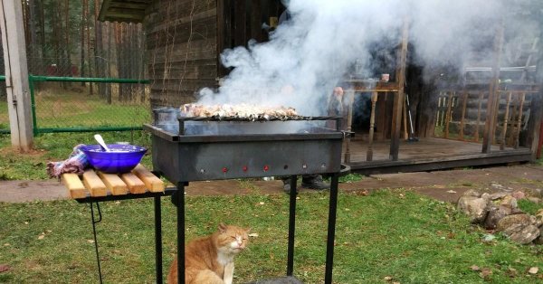 прикольные мангалы