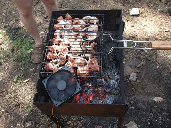 шашлыки на мангале