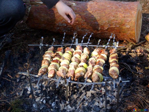 шашлык в лесу