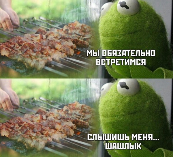 лягушка кермит