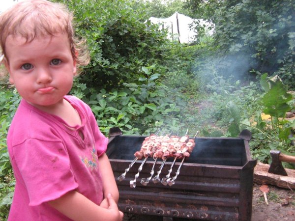 пикник с шашлыком