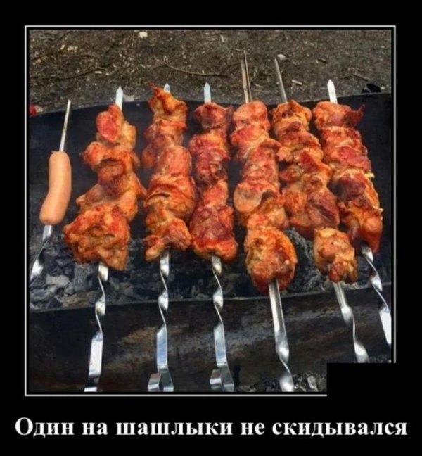 шашлыки прикол