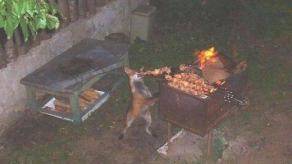 прикольные мангалы