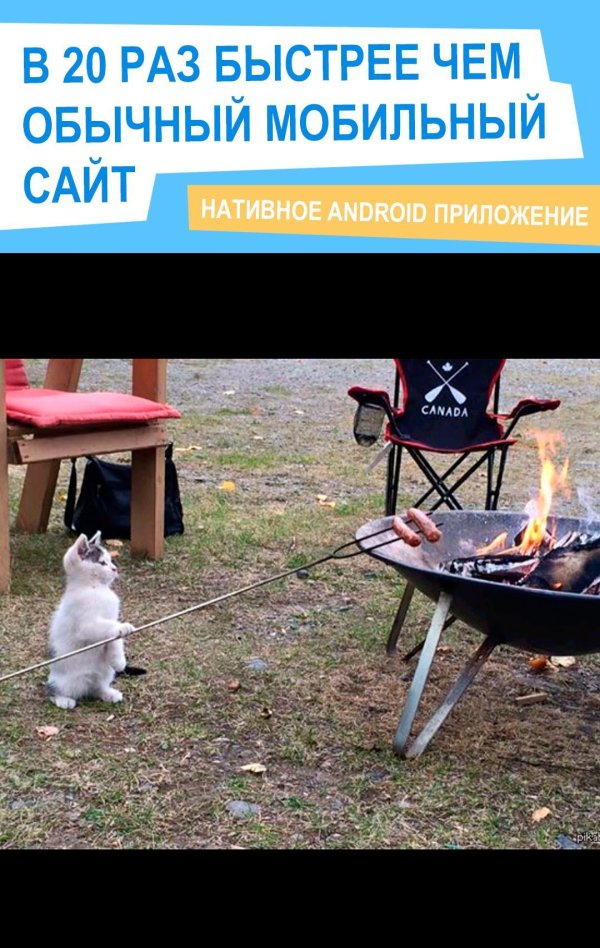 шашлыки мем