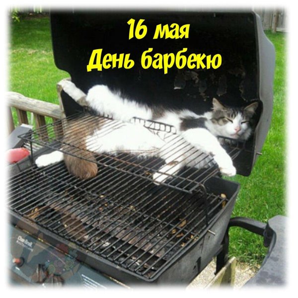 всемирный день барбекю