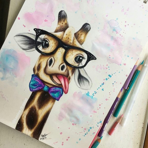 жираф картина