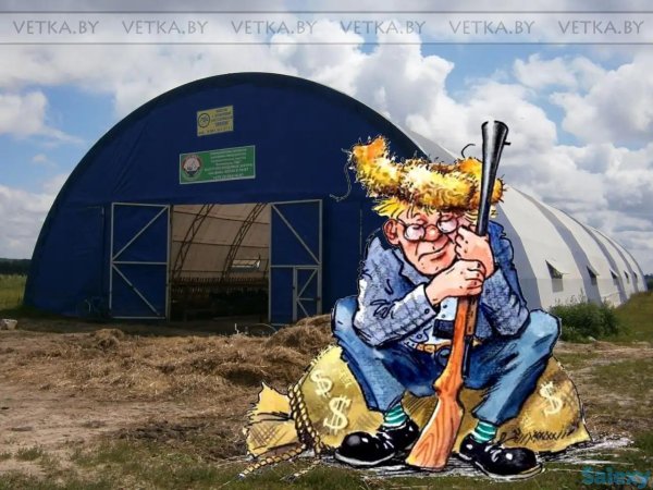 приколы про сторожей