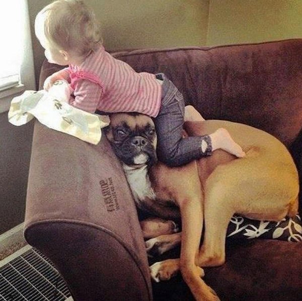 дети животные